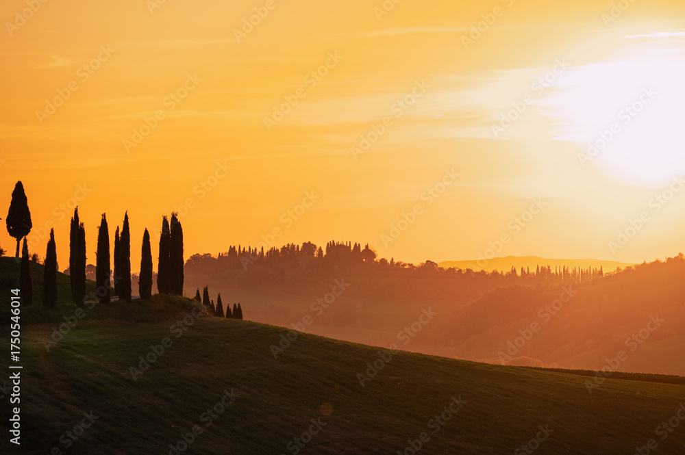 Obraz premium spring countryside landscape of a sunset over the tuscany hills , Italy 