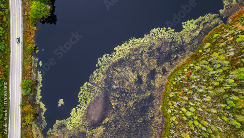 Aerial View of Car Driving Along Straight Lake Road Through Fall