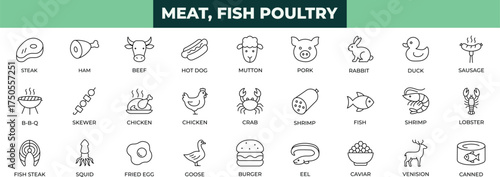 Meat, poultry, fish and eggs line icons collection