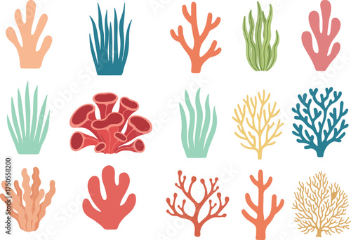 Hand drawn ocean coral vector set organic underwater reef illustrations for marine art, posters, and educational designs .eps