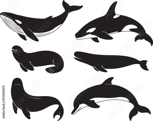 Sea creatures silhouette vector design elements