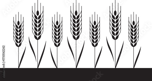 Wheat stalks in black and white agricultural field