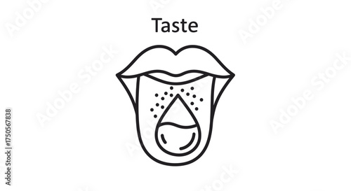A simple line icon illustrating the human sense of taste with a mouth, tongue, and a drop of liquid.