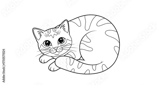 A cute striped kitten curled up resting comfortably looking at the camera.