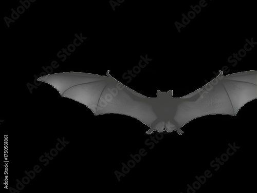 Flying Bat Silhouette on Black Background for Halloween Design
