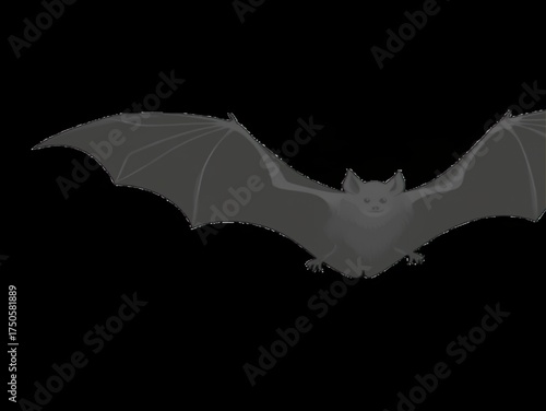 Flying Bat Silhouette on Black Background for Halloween Design