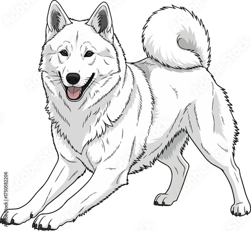 East Siberian Laika dog play bow playful pose vector illustration