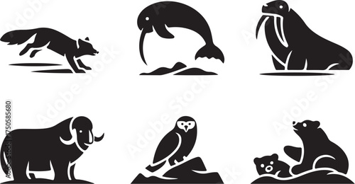 Arctic animals collection, polar bear, fox, walrus, owl
