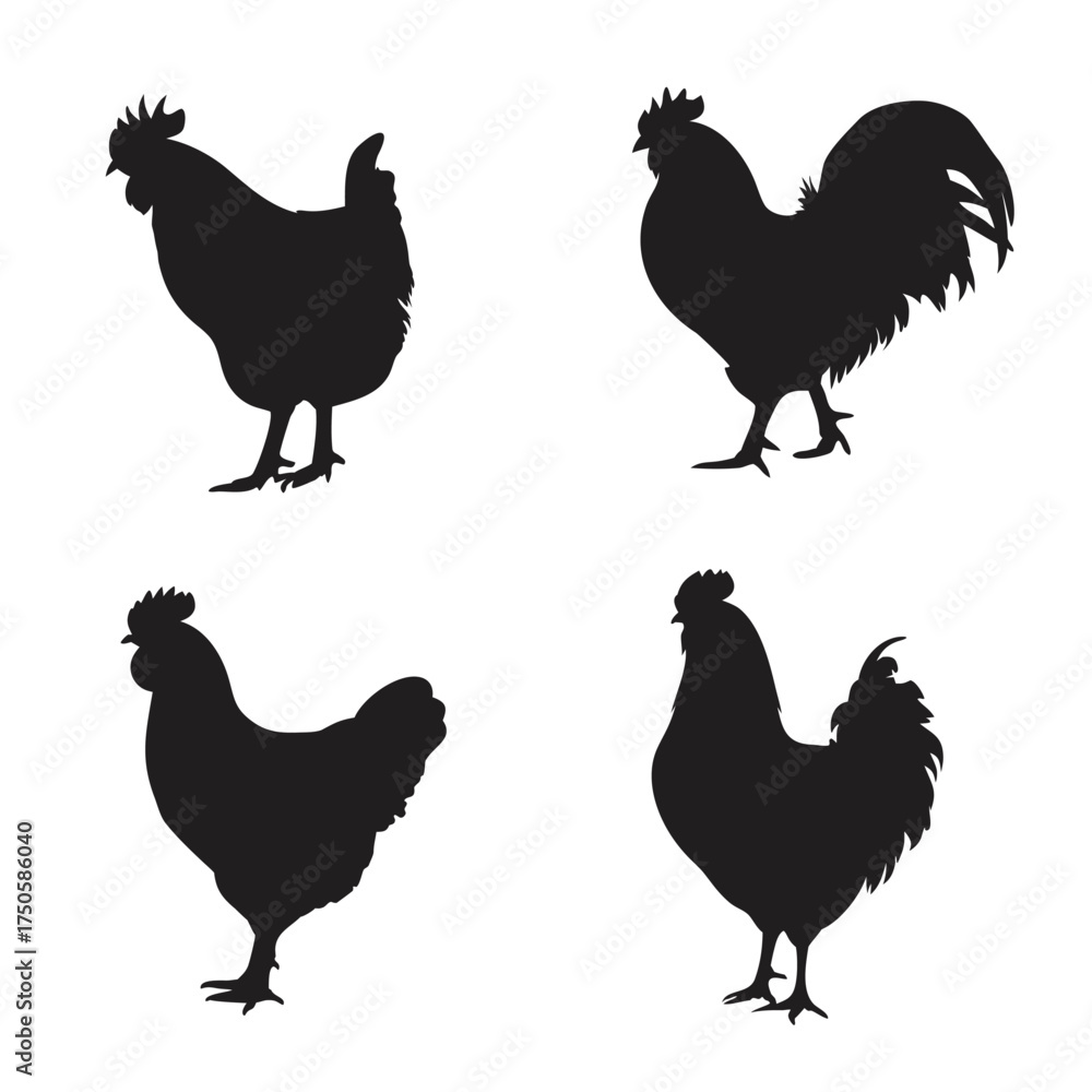 Fototapeta premium Silhouettes of roosters and hens in a simple black and white design