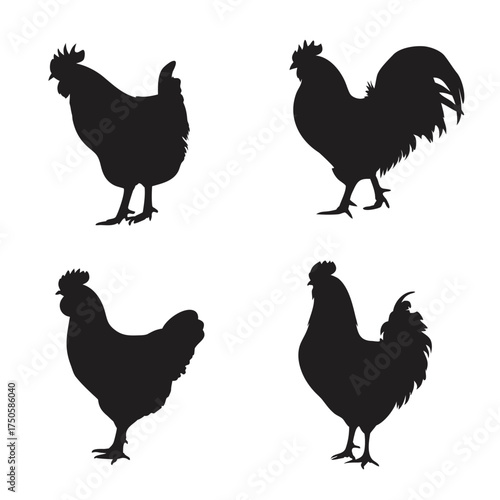 Silhouettes of roosters and hens in a simple black and white design