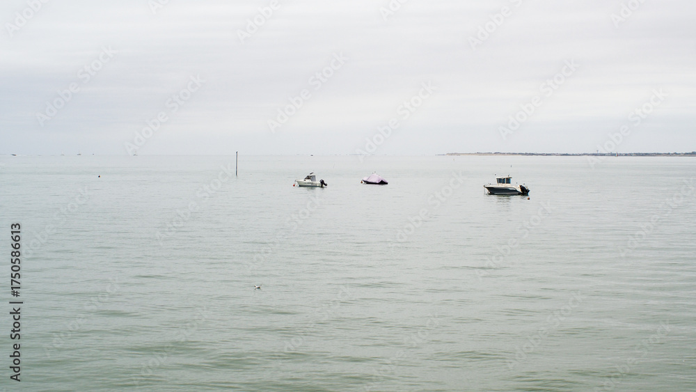 Fototapeta premium Paysages de l'île de Ré