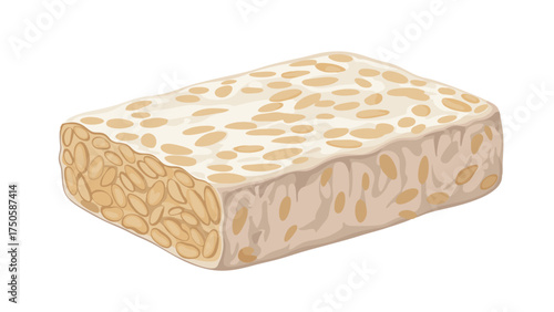 Fresh raw tempeh block with visible soybeans, a healthy plant-based protein source.