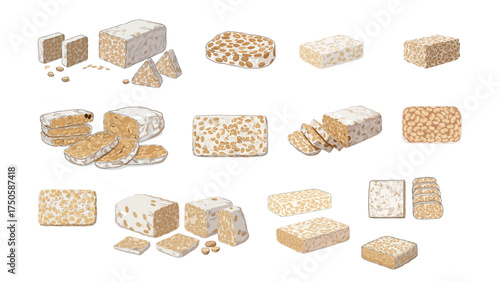 Collection of hand-drawn tempeh illustrations