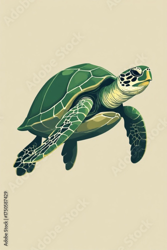 A green sea turtle swims, depicted in a stylized, illustrative manner on a light background.