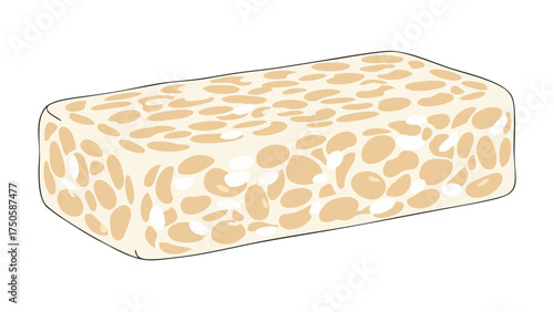Freshly fermented tempeh block with visible soybeans, a healthy plant-based protein source.