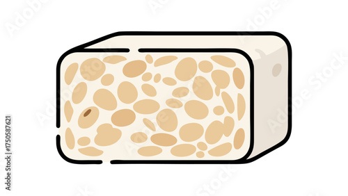 Rectangular Tempeh Block with Visible Soybeans and Fermented Texture.