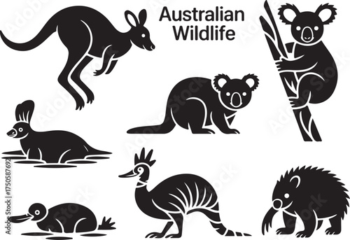 Stunning Australian Wildlife Silhouettes for Educational Designs