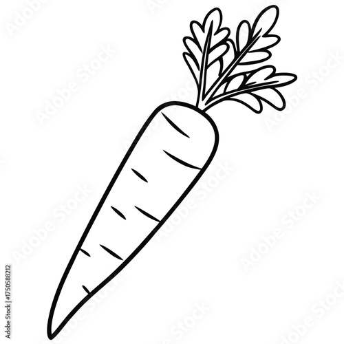 Simple hand drawn illustration of a single carrot with green leafy top
