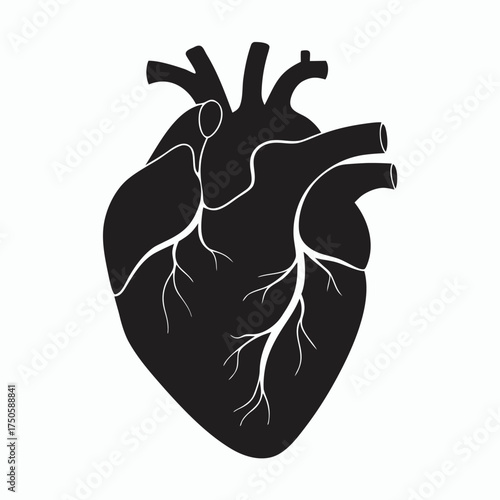 Detailed black silhouette illustration of a human heart with major vessels