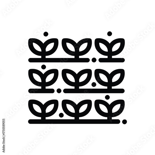 Rows of sprouting plants in a field or garden organized symmetrically