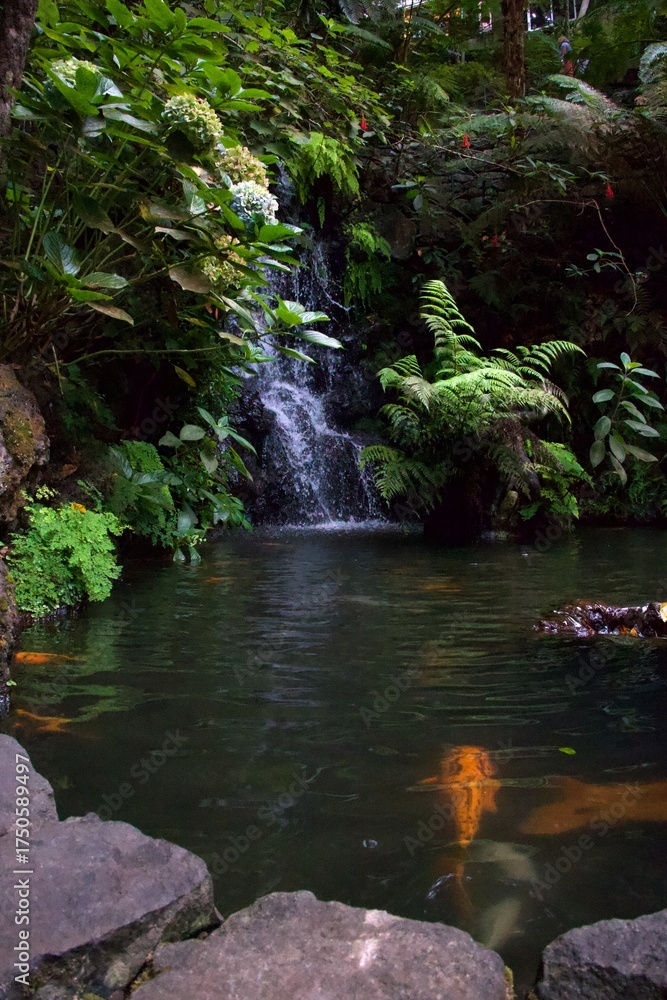 Obraz premium waterfall in a park