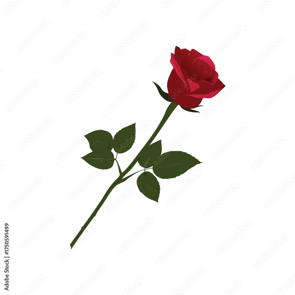 Fototapeta premium A single red rose with green stem and leaves on white background