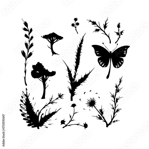 Botanical silhouettes featuring a graceful butterfly and various plant species enhancing natural