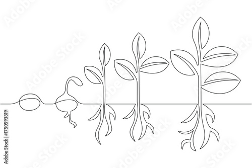 Seed growth plant process continuous one line drawing white background minimal nature and elegant outline vector illustration