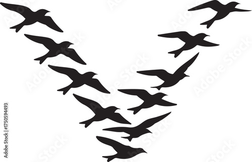 Flying Birds Flock Silhouette - Migrating Birds in Formation