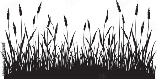 Black silhouette of cattails and grass on white background