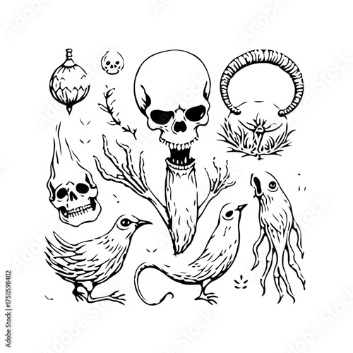 Eerie arrangement of symbolic illustrations featuring skeletons avian creatures and macabre