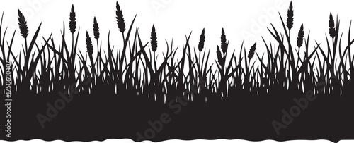Black silhouette of tall grass and reeds against white