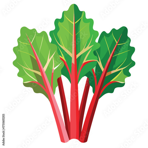 A vibrant illustration of red stemmed leafy green swiss chard plant