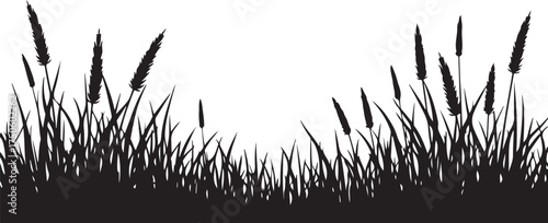 Black silhouette of tall grass and seed heads white