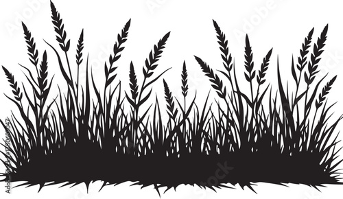 Wallpaper Mural Black silhouette of tall grass and wheat stalks black and white  Torontodigital.ca