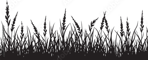 Black silhouette of tall grass and wheat stalks vector 10