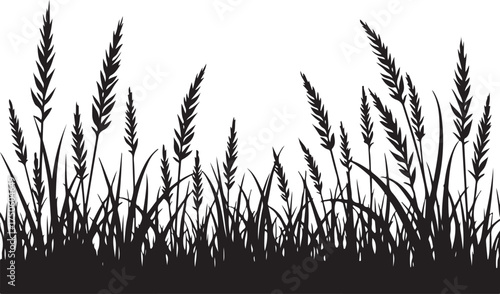 Black silhouette of tall grass and wheat stalks vector