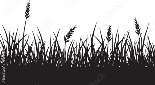 Black silhouette of tall grass and wheat stalks white 1