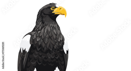 A majestic steller's sea eagle with striking plumage and a powerful beak looks alertly to the right.