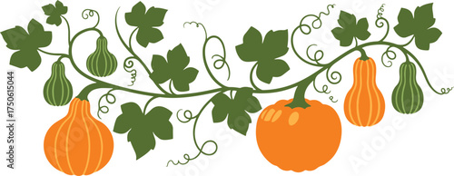 Decorative horizontal vector vine border featuring vibrant orange pumpkins and green leaves.