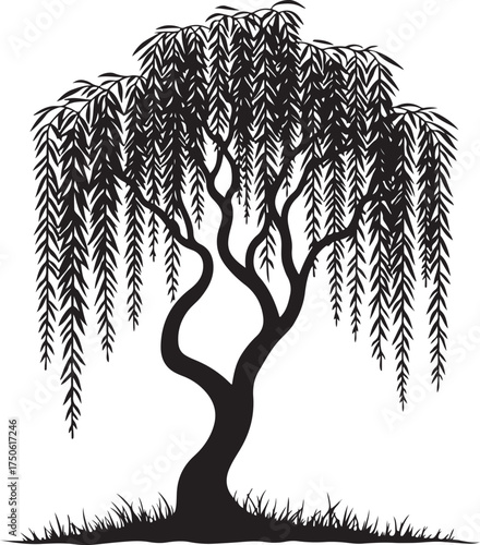 Black silhouette of a weeping willow tree with drooping branches