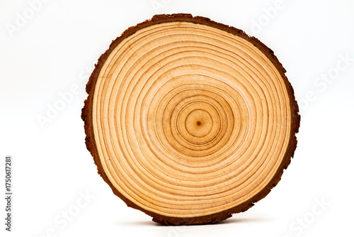 Φωτογραφία Perfectly circular wooden tree slice with visible growth rings and natural bark