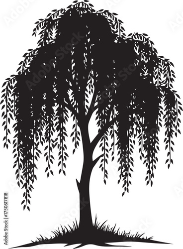 Black silhouette of a weeping willow tree with drooping branches
