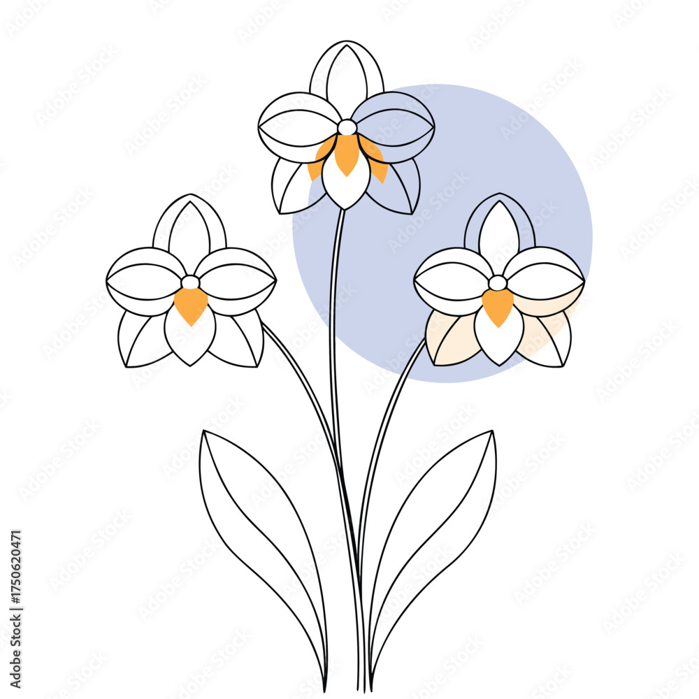 Naklejka premium Three delicate orchids arranged vertically in a floral illustration