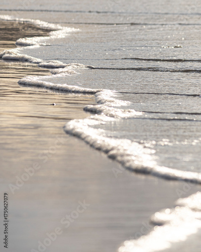 Olas