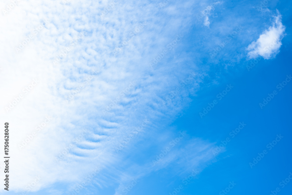 Obraz premium 青空と薄い白い雲