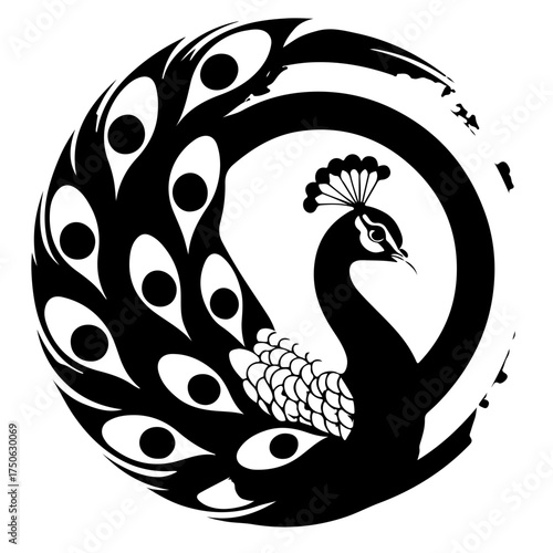 Peacock feather vector SVG, Peacock cut file, Peacock