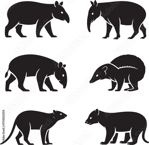 Diverse tapir species silhouettes, jungle wildlife collection
