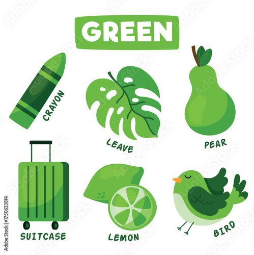 Colors and vocabulary set in english