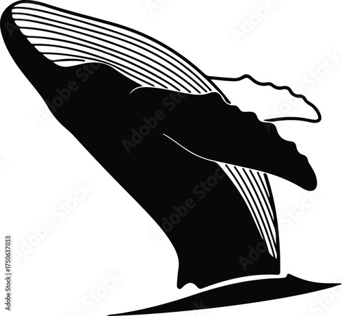 Vector silhouette humpback whale breaching sea simple line illustration